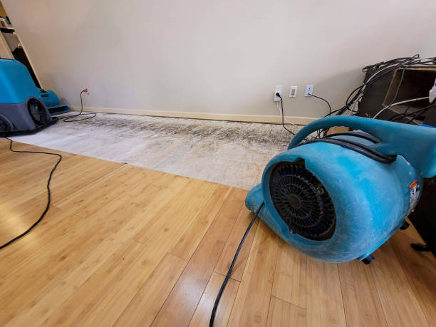 Reliable Basement Flood Cleanup contractor in Moundsville, WV by Hirex Water Damage