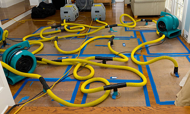 Professional Basement Flood Cleanup technician working in Moundsville, WV